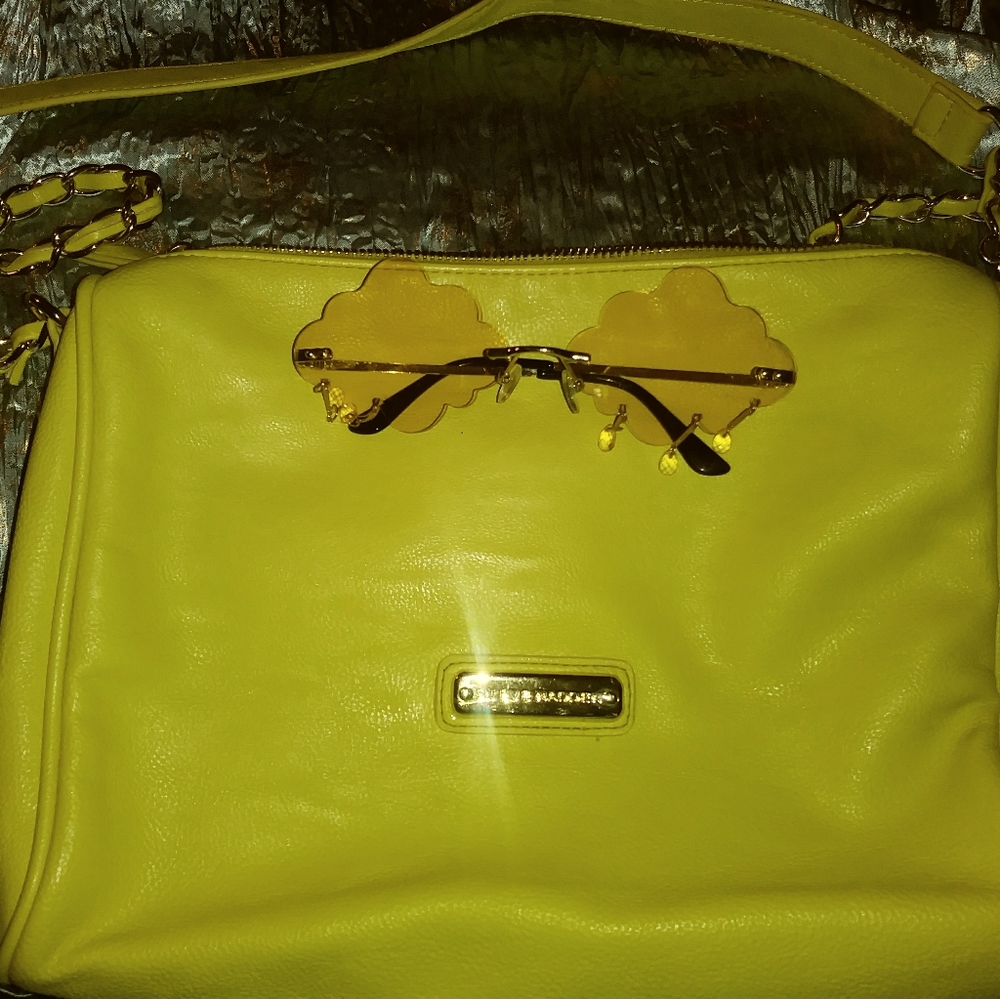 Steve Madden Purse